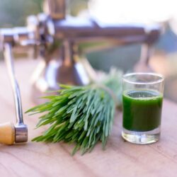 What is wheat grass and why I need it?